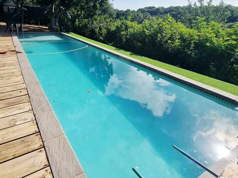 Long lap pool with a timber deck edge set into a hedged garden